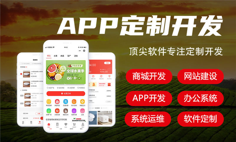 北京电商系统开发解决方案及功能计划书