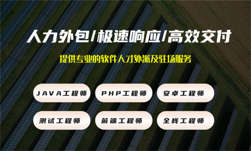 温州IT人力外包服务如何解决企业在财务管理系统项目中的痛点