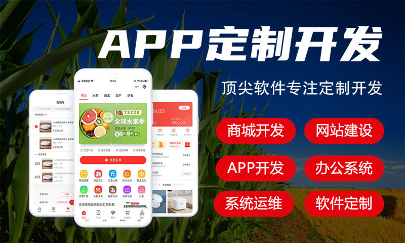 温州企业网站建设的机遇与挑战：打造数字化转型新引擎