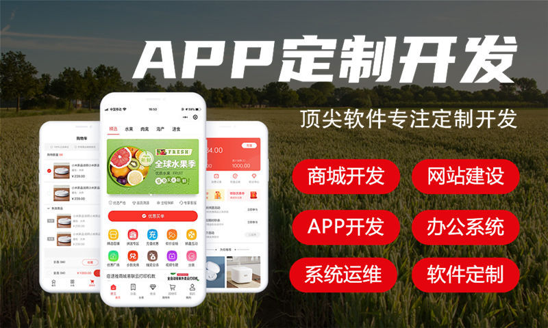 山东物流系统解决方案与功能计划书——助力企业高效运作