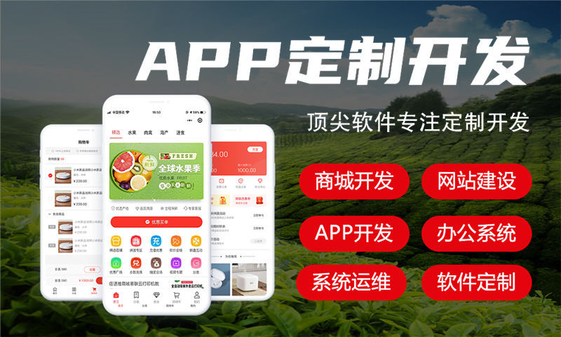 海南企业网站建设助力企业在数字化浪潮中的突围