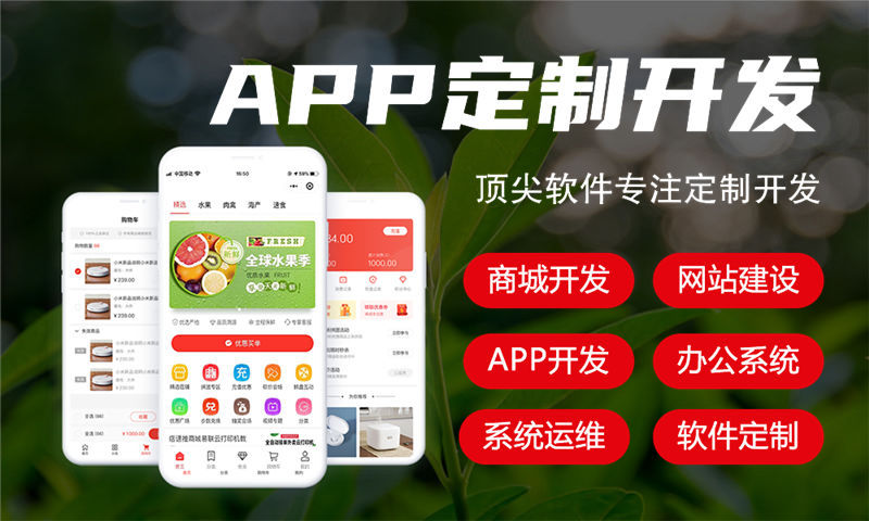 南京电商系统开发解决方案与功能计划书
