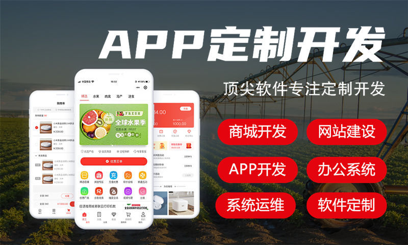 南京电信系统开发解决方案与功能计划书