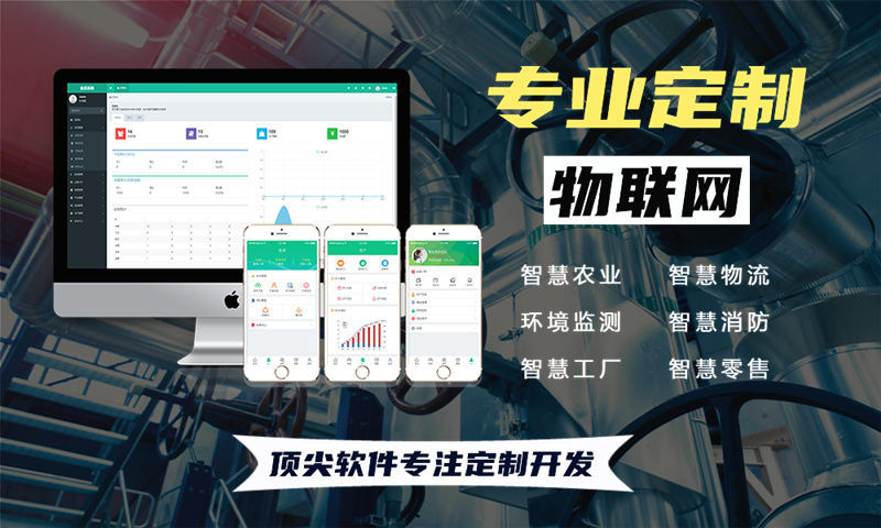 南京物联网系统开发综合解决方案：涵盖水质、油烟、河道、交通、安防与智能家居的全流程功能设计与技术实现