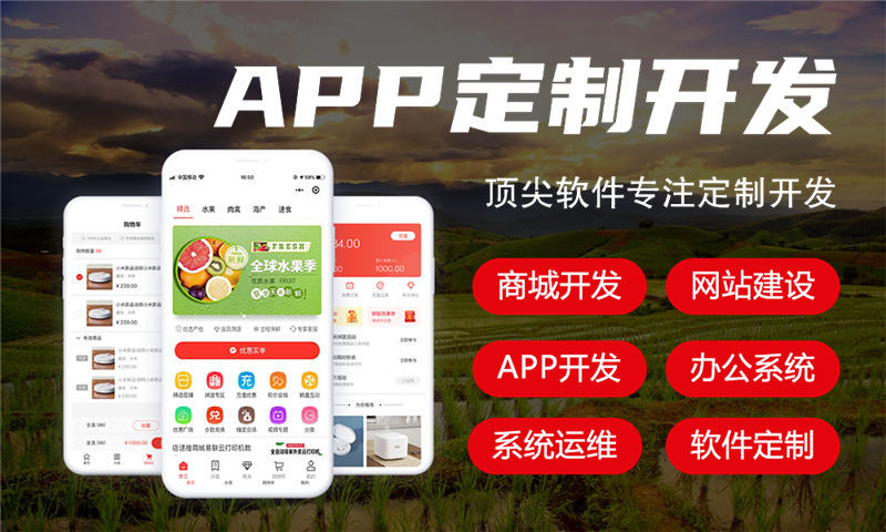 湖北物流系统开发解决方案:基于软件定制开发的全流程功能规划与技术实现