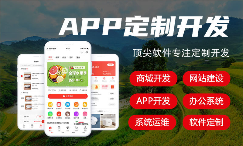 河北全域购二二大公排系统开发专业解决方案