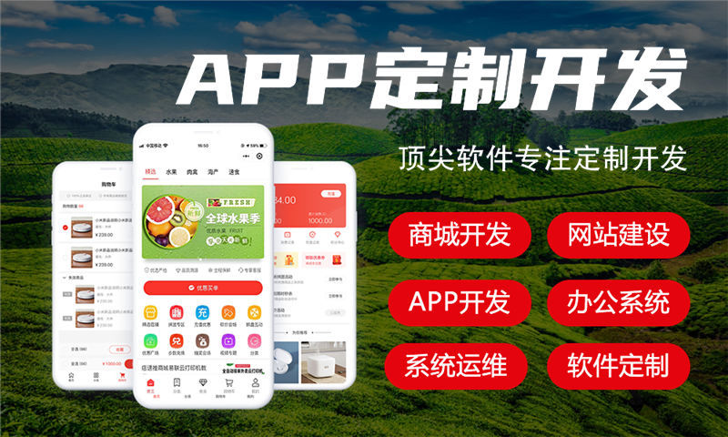 重庆二二复制大公排小程序系统开发专业解决方案