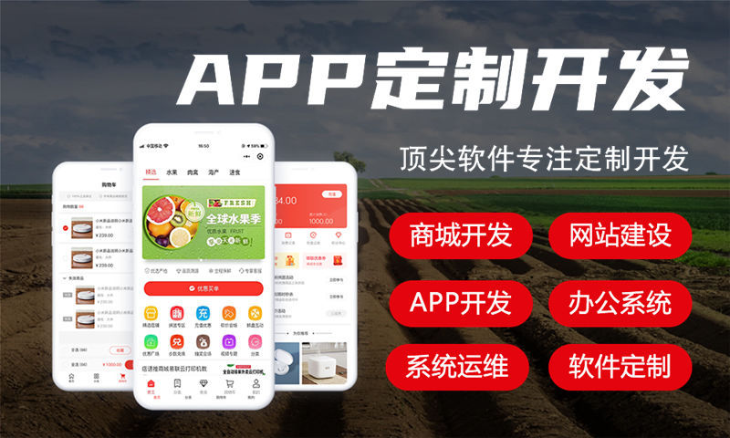 重庆三三复制商城软件专业开发解决方案