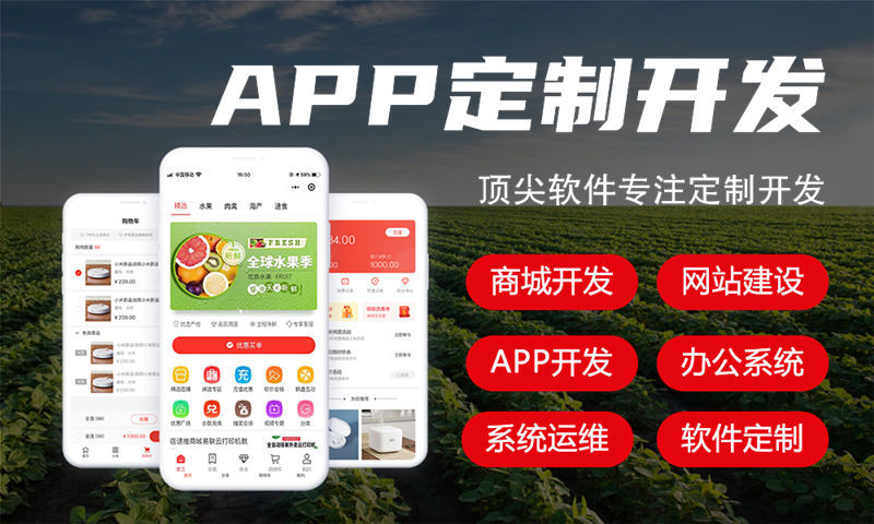 河北爆特商城系统小程序开发解决方案专业分析