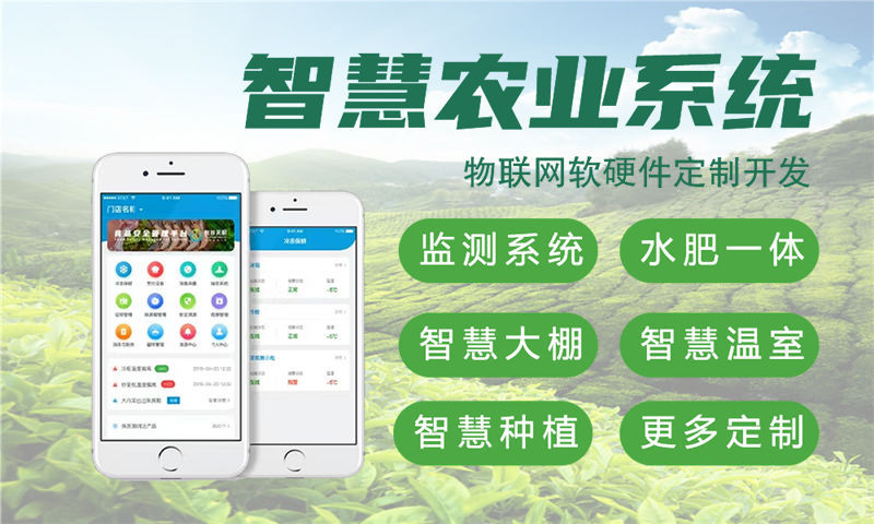 通化嵌入式图像处理物联网开发解决方案：助力企业实现智能硬件升级与数字化转型